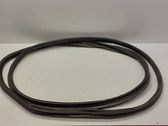 Trunk rubber seal (body)
