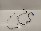 Front door wiring loom