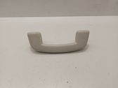 Front interior roof grab handle