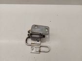 Rear door lower hinge
