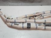 Roof airbag
