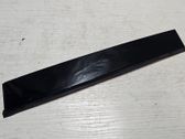 Sliding door trim (molding)