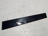 Front door glass trim molding