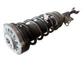 Front shock absorber with coil spring