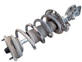 Front shock absorber with coil spring