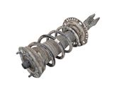 Front shock absorber with coil spring