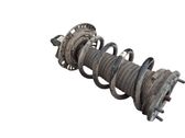 Front shock absorber with coil spring