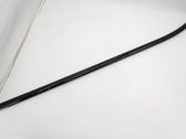 Front door glass trim molding