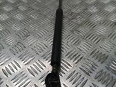 Tailgate/trunk strut/damper