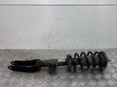 Front shock absorber with coil spring