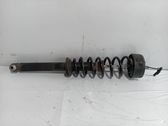 Stoßdämpfer mit Federbein hinten