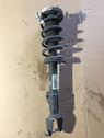 Front shock absorber with coil spring