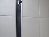 Other rear door trim element