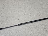 Tailgate/trunk strut/damper