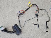 Front door wiring loom