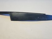 Front door glass trim molding