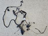 Front door wiring loom
