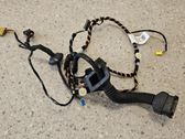 Front door wiring loom