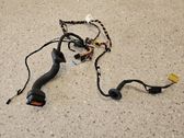 Front door wiring loom