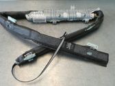 Roof airbag