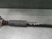 Rear shock absorber/damper