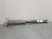 Rear shock absorber/damper