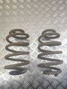 Rear coil spring