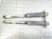 Rear shock absorber/damper