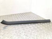 Front sill trim cover