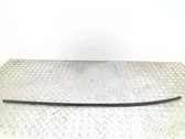 Cubierta moldura embellecedora de la barra del techo