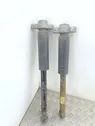 Rear shock absorber/damper