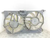 Electric radiator cooling fan