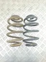 Rear coil spring