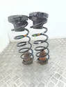 Rear coil spring