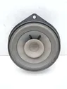 Rear door speaker