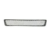 Front bumper lower grill