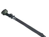 Rear seatbelt