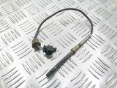 Abgastemperatursensor