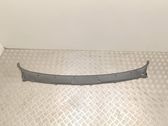 Wiper trim