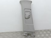 (B) pillar trim (top)