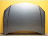 Engine bonnet/hood