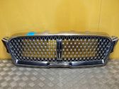 Front grill