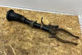 Front shock absorber/damper