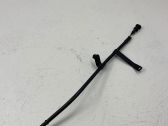 Oil level dip stick