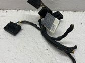 Other wiring loom