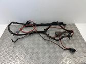 Other wiring loom