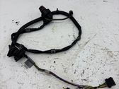 Gearbox/transmission wiring loom