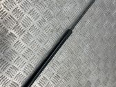 Tailgate/trunk strut/damper