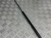 Tailgate/trunk strut/damper