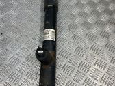 Stoßdämpfer hinten